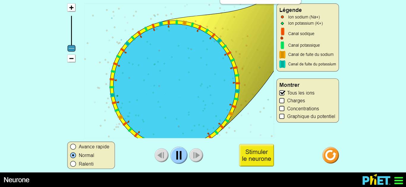 Labo de Physique